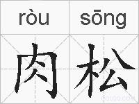 肉松的拼音