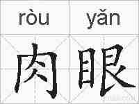 肉眼的拼音