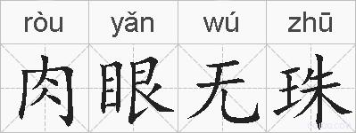肉眼无珠的拼音