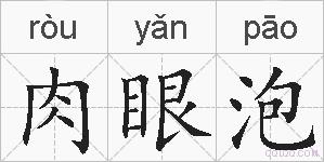 肉眼泡的拼音