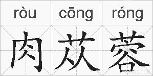 肉苁蓉的拼音