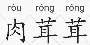 肉茸茸的拼音