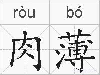 肉薄的拼音