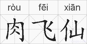 肉飞仙的拼音