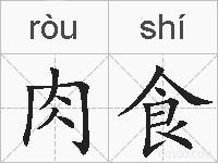 肉食的拼音