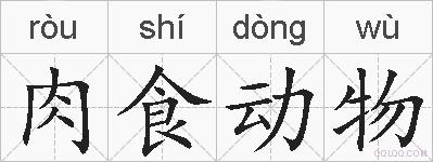 肉食动物的拼音