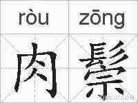 肉鬃的拼音
