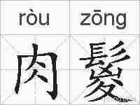 肉鬉的拼音