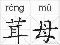 茸母的拼音