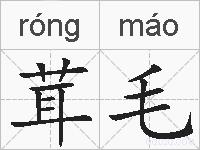 茸毛的拼音