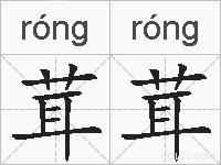 茸茸的拼音