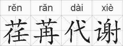 荏苒代谢的拼音