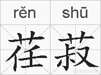 荏菽的拼音