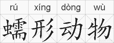 蠕形动物的拼音