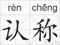 认称的拼音