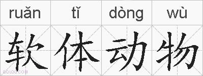 软体动物的拼音