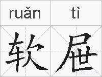 软屉的拼音