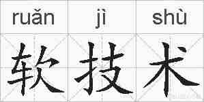 软技术的拼音