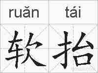 软抬的拼音