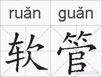 软管的拼音