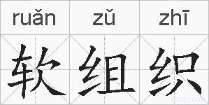 软组织的拼音