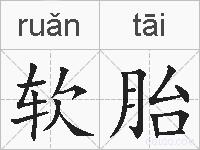 软胎的拼音