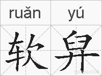 软舁的拼音