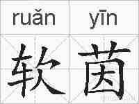 软茵的拼音