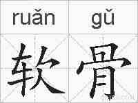 软骨的拼音