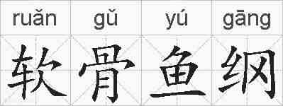 软骨鱼纲的拼音