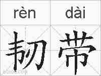 韧带的拼音