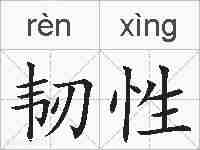 韧性的拼音