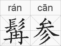 髯参的拼音