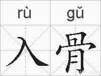 入骨的拼音