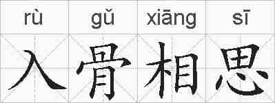 入骨相思的拼音