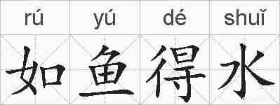 如鱼得水的拼音