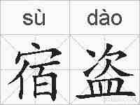宿盗的拼音