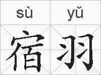 宿羽的拼音