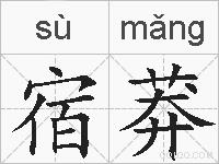 宿莽的拼音