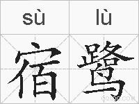 宿鹭的拼音