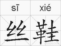 丝鞋的拼音