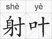 射叶的拼音