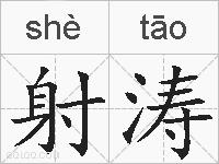 射涛的拼音