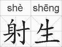 射生的拼音