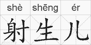 射生儿的拼音