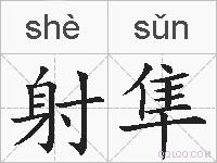 射隼的拼音
