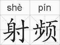 射频的拼音
