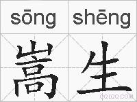 嵩生的拼音