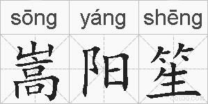 嵩阳笙的拼音