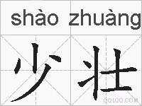 少壮的拼音
